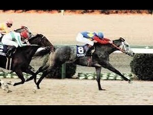 1990 馬 五行